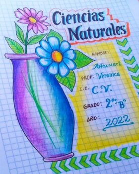 Bonitas Caratulas de Ciencias Naturales (14)