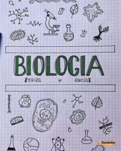 Imagen de carátula de Biología, modelo 13 para trabajo escolar