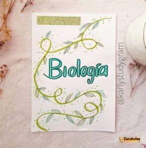 Imagen de carátula de Biología, modelo 17 para trabajo escolar