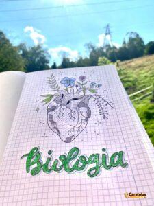 Imagen de carátula de Biología, modelo 18 para trabajo escolar
