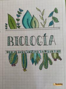 Imagen de carátula de Biología, modelo 21 para trabajo escolar