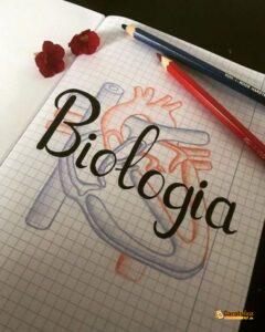 Imagen de carátula de Biología, modelo 22 para trabajo escolar