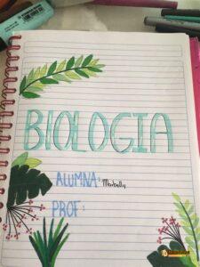 Imagen de carátula de Biología, modelo 28 para trabajo escolar